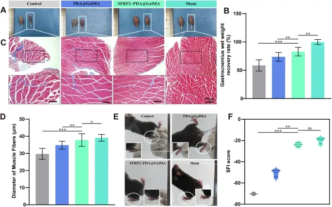 41427_2025_610_Fig8_HTML