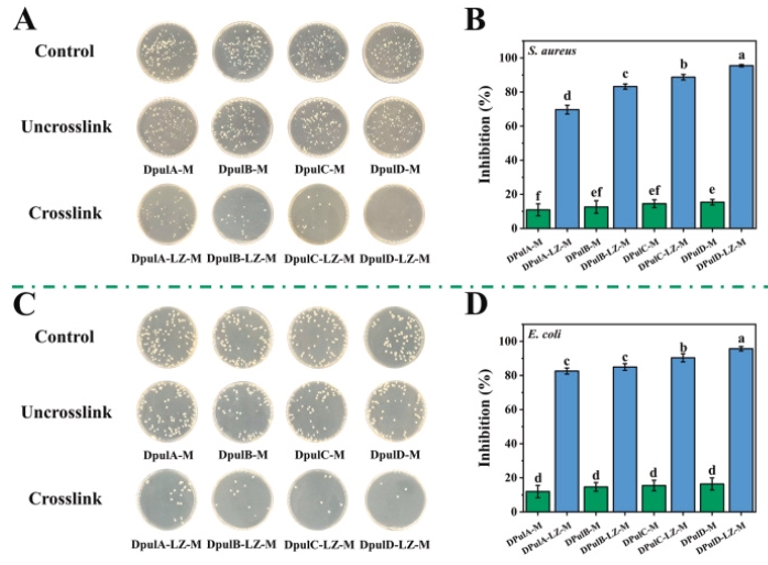 迈薄睿纳米纤维膜-膜的抗菌性能2