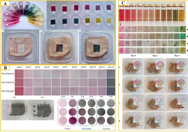 纳米纤维膜厂家迈薄睿-不同 pH 值溶液中的颜色响应以及 MSE@CS-CAR、BPE@PLPVA和 CAE@PVAK-CAR烯烃在跟踪虾新鲜度中的应用5