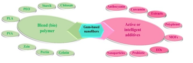 纳米纤维膜厂家迈薄睿-于制造胶基静电纺丝纳米纤维的生物聚合物和生物活性化合物的来源3