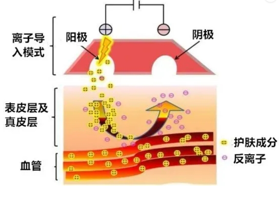 物理护肤示意图